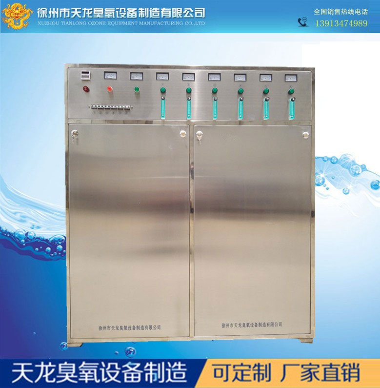 污水处理 臭氧设备 WS-2公斤臭氧发生器 降解COD/BOD脱色去异味 大型臭氧机